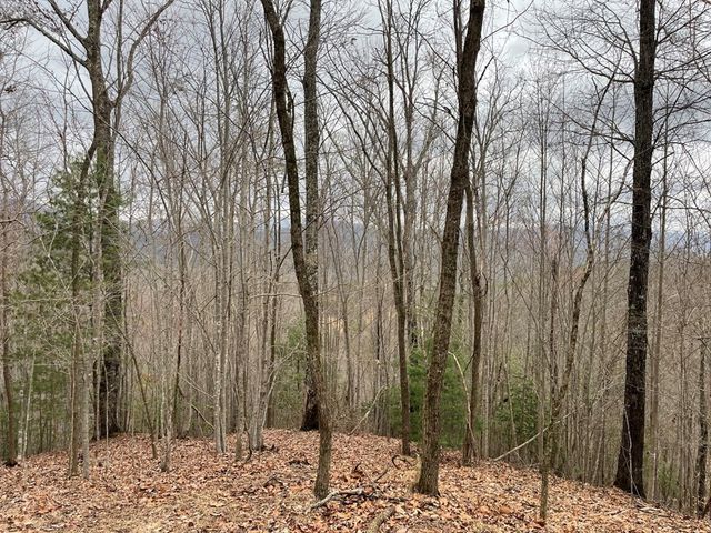 19 Lots Crockett, Hayesville, NC 28904