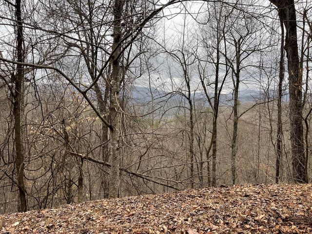 19 Lots Crockett, Hayesville, NC 28904
