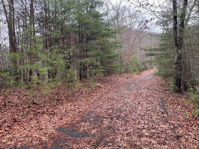19 Lots Crockett, Hayesville, NC 28904