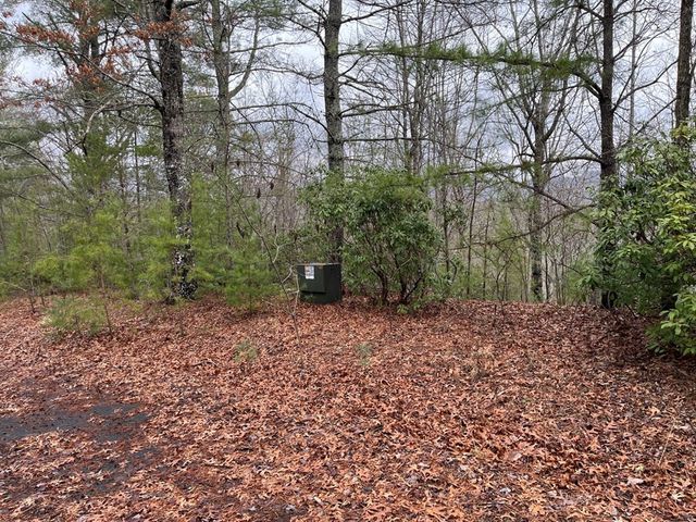 19 Lots Crockett, Hayesville, NC 28904