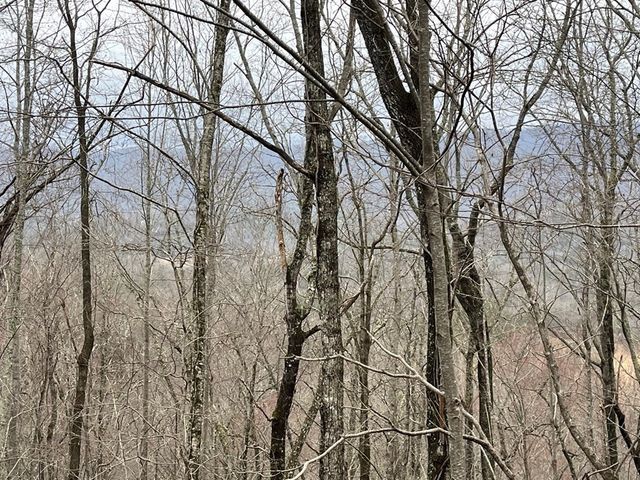 19 Lots Crockett, Hayesville, NC 28904