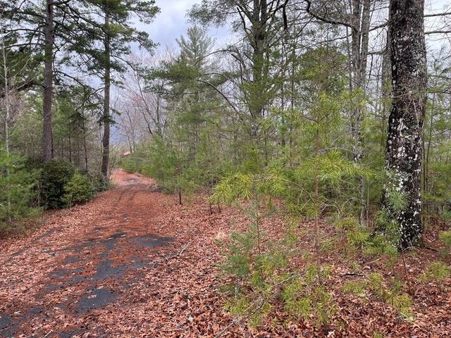 19 Lots Crockett, Hayesville, NC 28904