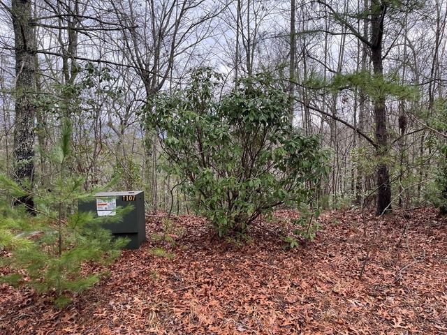 19 Lots Crockett, Hayesville, NC 28904
