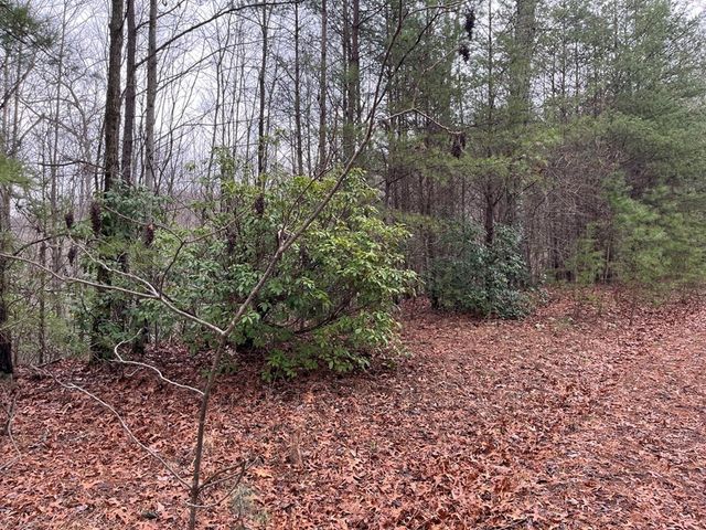 19 Lots Crockett, Hayesville, NC 28904