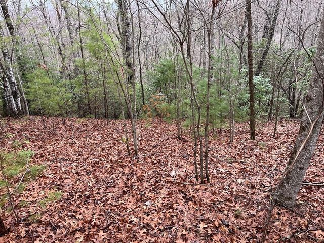19 Lots Crockett, Hayesville, NC 28904