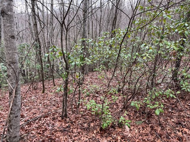 19 Lots Crockett, Hayesville, NC 28904