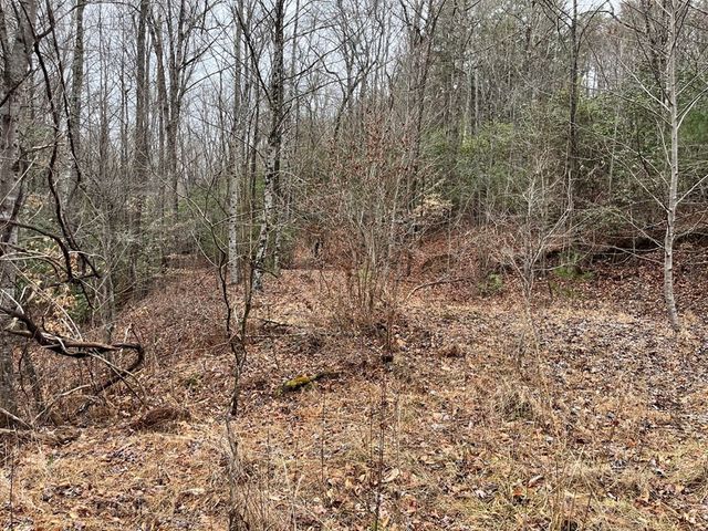 19 Lots Crockett, Hayesville, NC 28904
