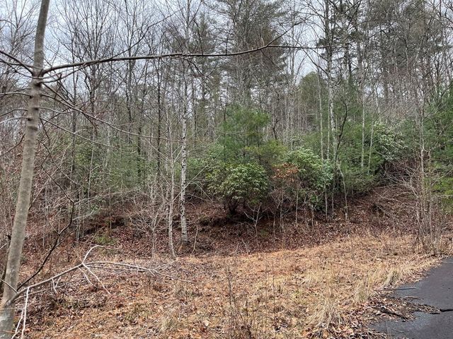 19 Lots Crockett, Hayesville, NC 28904