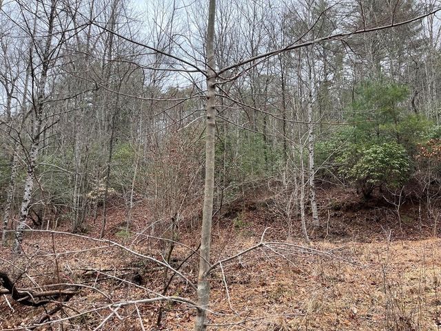 19 Lots Crockett, Hayesville, NC 28904