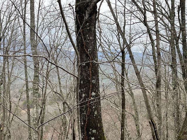 19 Lots Crockett, Hayesville, NC 28904
