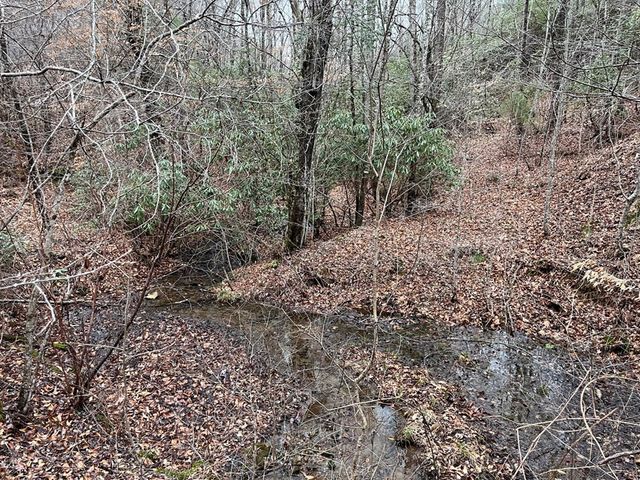 19 Lots Crockett, Hayesville, NC 28904