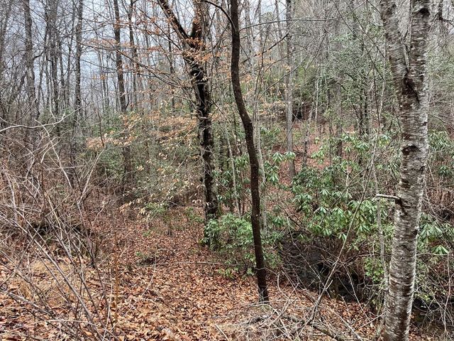 19 Lots Crockett, Hayesville, NC 28904
