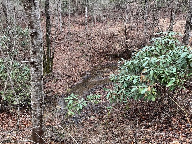 19 Lots Crockett, Hayesville, NC 28904