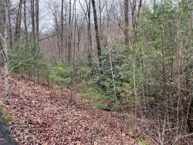 19 Lots Crockett, Hayesville, NC 28904