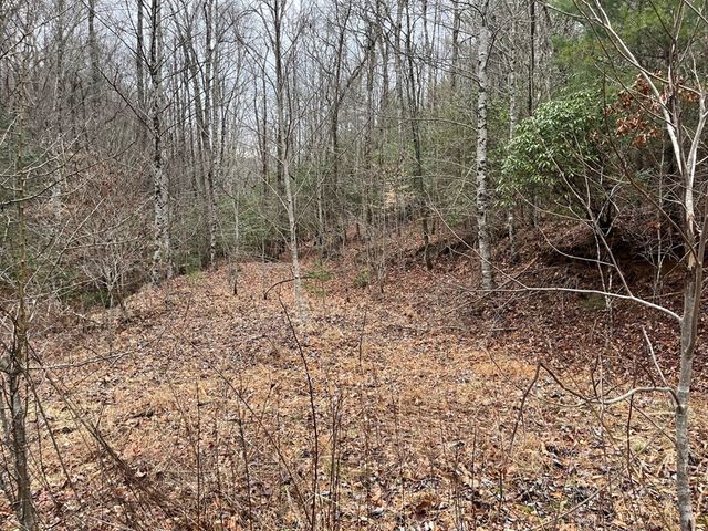 19 Lots Crockett, Hayesville, NC 28904