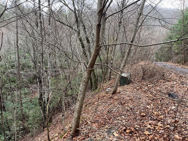 19 Lots Crockett, Hayesville, NC 28904