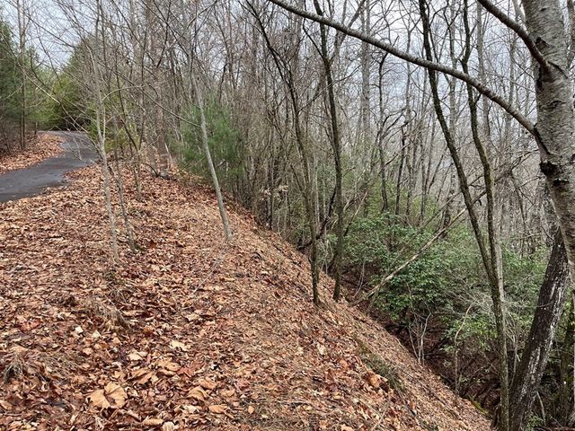 19 Lots Crockett, Hayesville, NC 28904