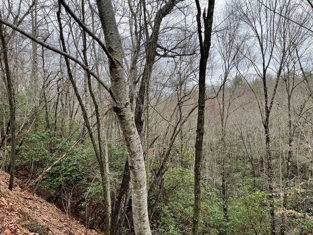 19 Lots Crockett, Hayesville, NC 28904