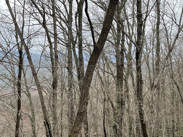 19 Lots Crockett, Hayesville, NC 28904