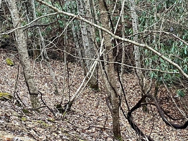 19 Lots Crockett, Hayesville, NC 28904