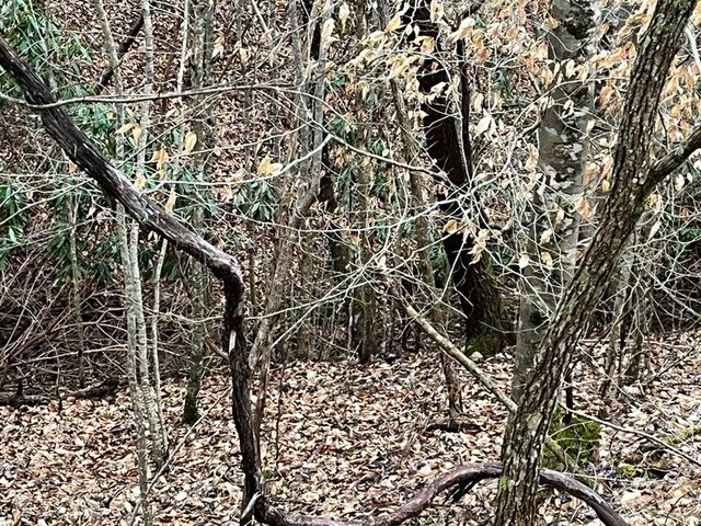 19 Lots Crockett, Hayesville, NC 28904
