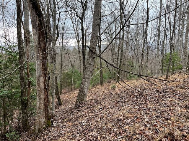 19 Lots Crockett, Hayesville, NC 28904