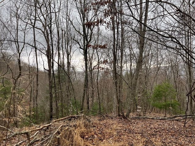 19 Lots Crockett, Hayesville, NC 28904