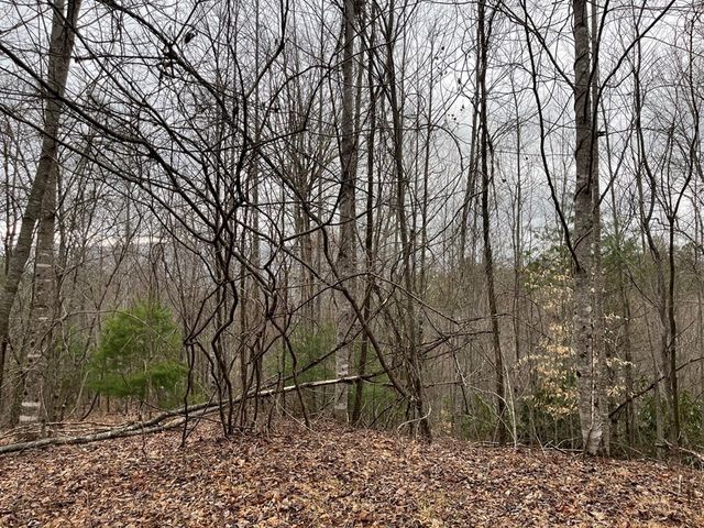 19 Lots Crockett, Hayesville, NC 28904