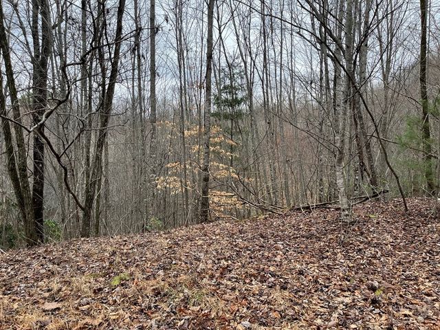 19 Lots Crockett, Hayesville, NC 28904