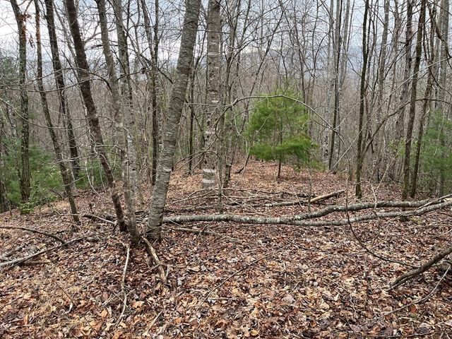 19 Lots Crockett, Hayesville, NC 28904