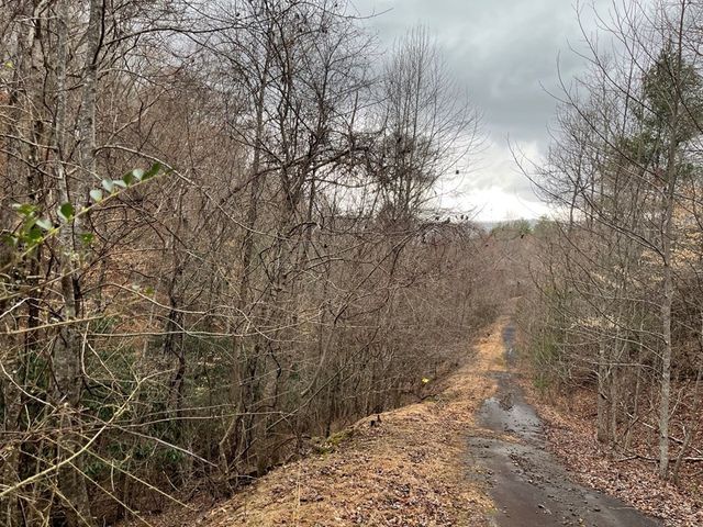19 Lots Crockett, Hayesville, NC 28904