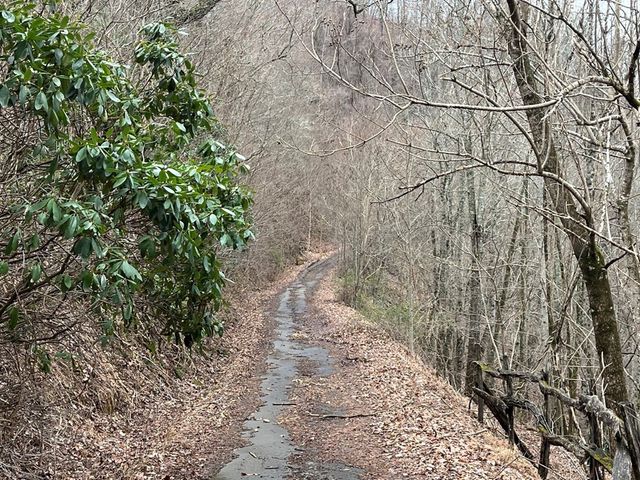 19 Lots Crockett, Hayesville, NC 28904