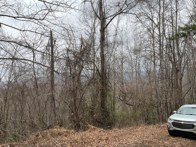 19 Lots Crockett, Hayesville, NC 28904