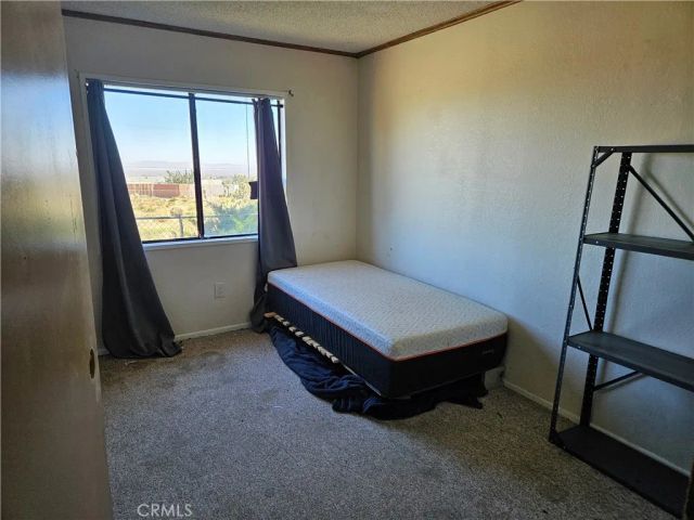 10487 Via Verde, Pinon Hills, CA 92372