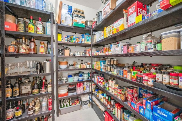 1042 TUSCANY DRIVE, Trinity, FL 34655