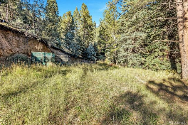 13550 S Foxton Road, Conifer, CO 80433