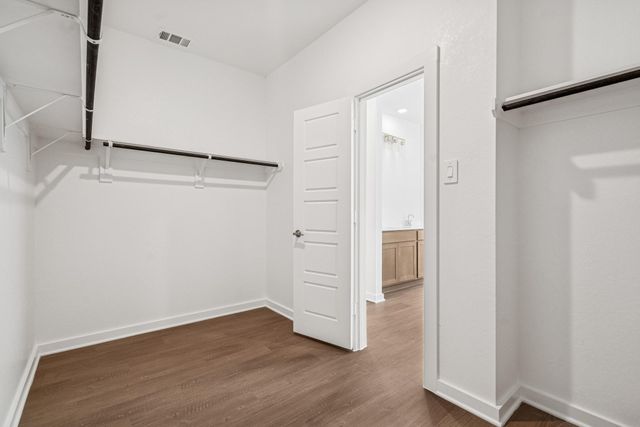 16919 Pin Cherry Leaf Drive, New Caney, TX 77357