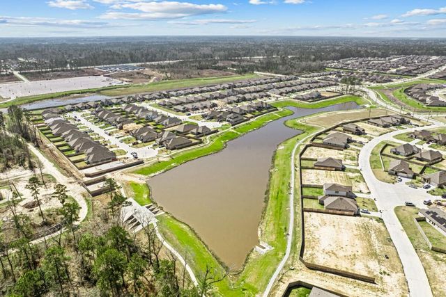 16919 Pin Cherry Leaf Drive, New Caney, TX 77357