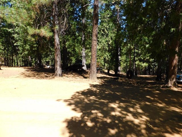 2059 Winton Rd, West Point, CA 95255