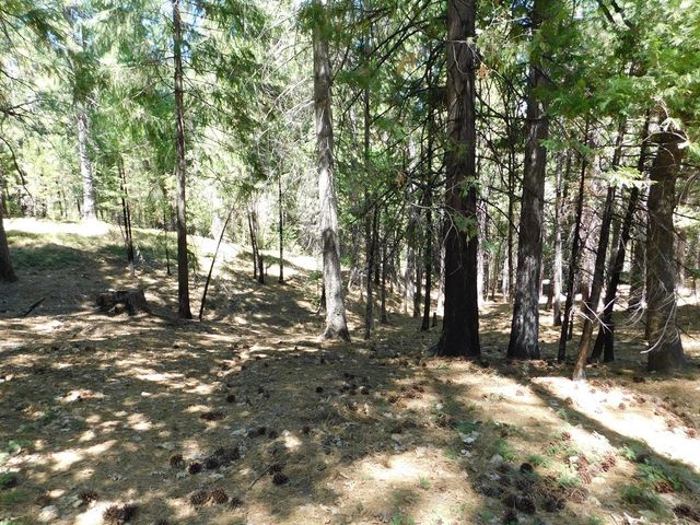 2059 Winton Rd, West Point, CA 95255