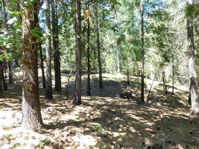 2059 Winton Rd, West Point, CA 95255