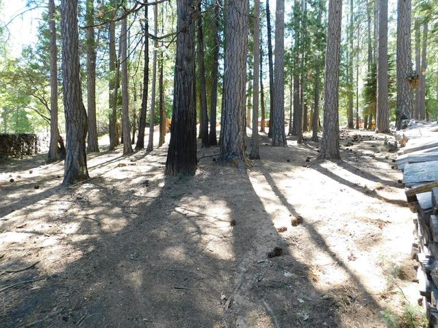 2059 Winton Rd, West Point, CA 95255