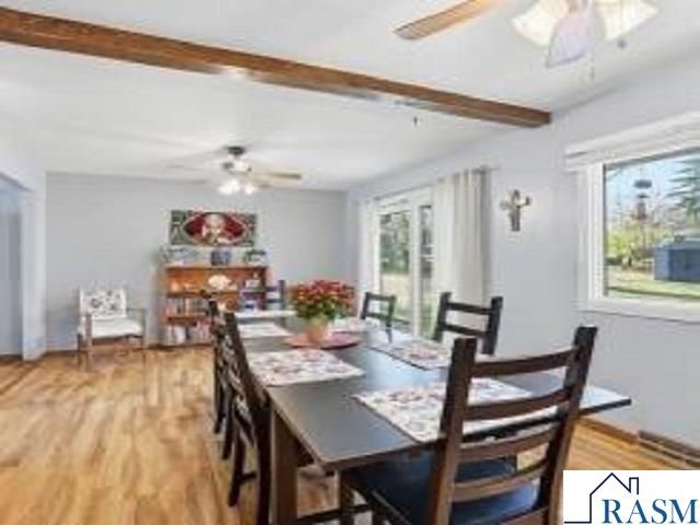 417 S Park Lane, Le Sueur, MN 56058