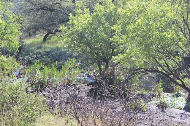 101 W Cedar Drive, Fort Davis, TX 79734