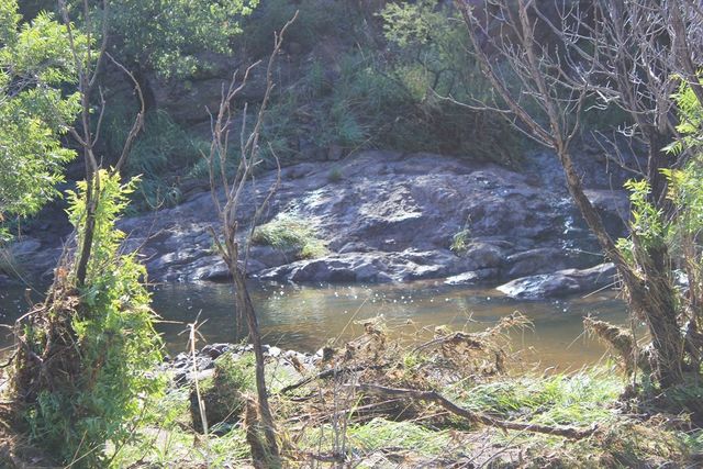 101 W Cedar Drive, Fort Davis, TX 79734