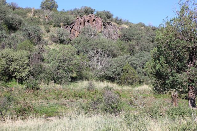 101 W Cedar Drive, Fort Davis, TX 79734