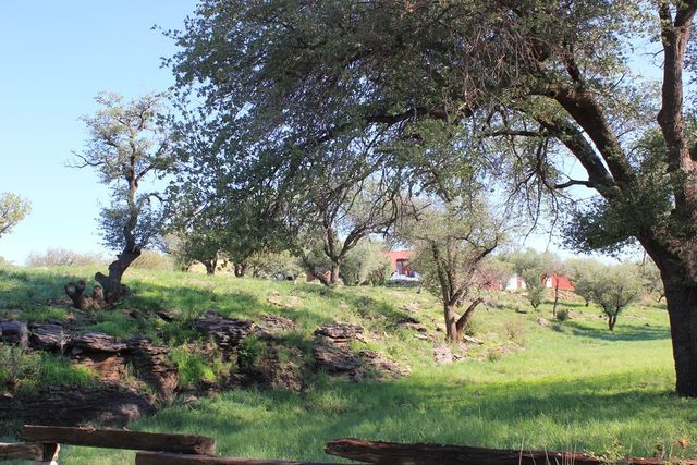 101 W Cedar Drive, Fort Davis, TX 79734