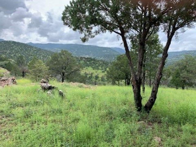 101 W Cedar Drive, Fort Davis, TX 79734