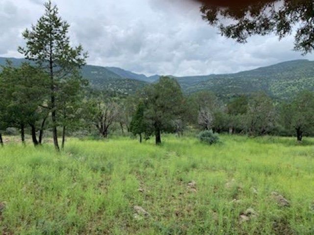 101 W Cedar Drive, Fort Davis, TX 79734