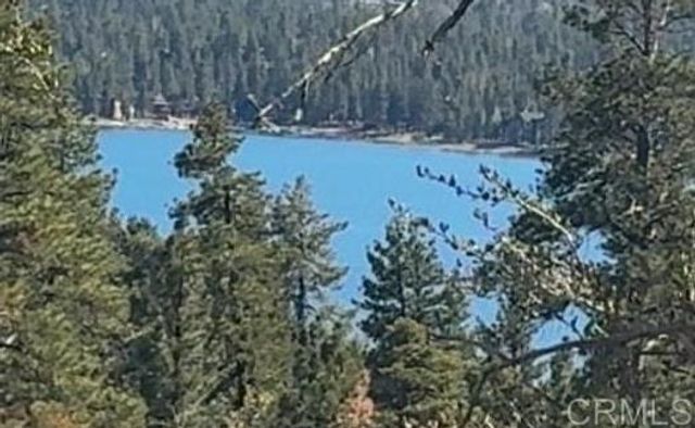 220 Mountain View Bl, Big Bear City, CA 92314